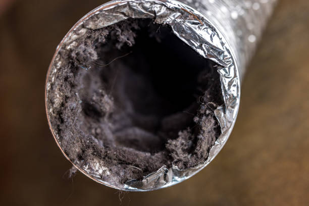 Best Best Air Duct Cleaning Company  in Spanish Springs, NV