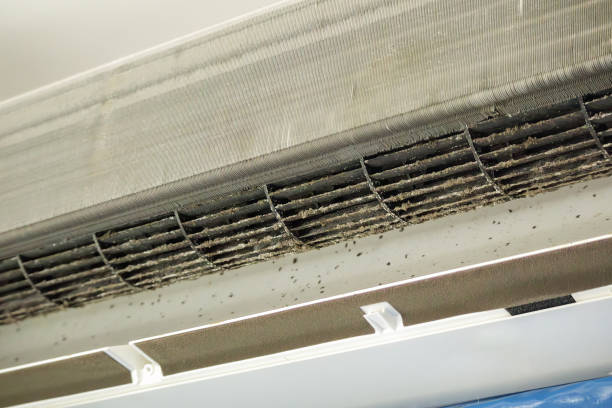 Best Air Duct Sanitizing Services  in Spanish Springs, NV